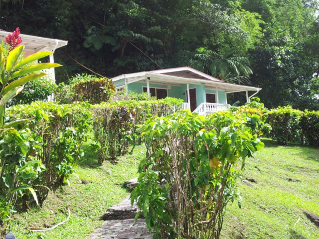 Chez Ophelia Cottage Apartments Roseau Pokoj fotografie