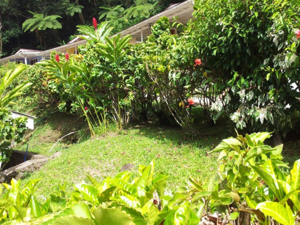 Chez Ophelia Cottage Apartments Roseau Pokoj fotografie